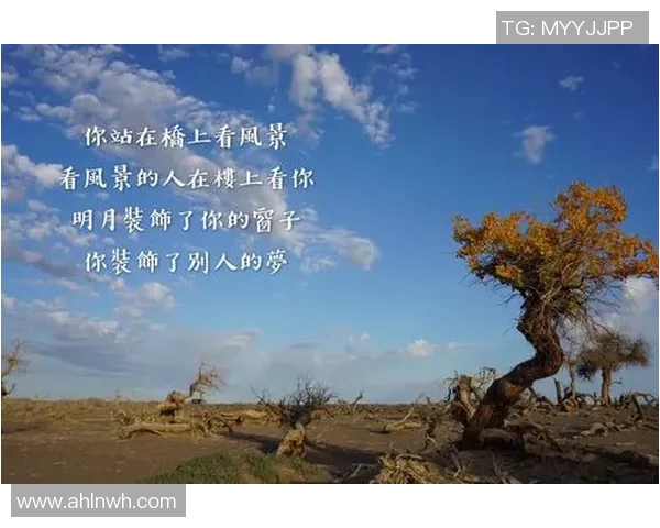 刘铮的奋斗历程与人生哲学探索：从平凡到卓越的心路历程